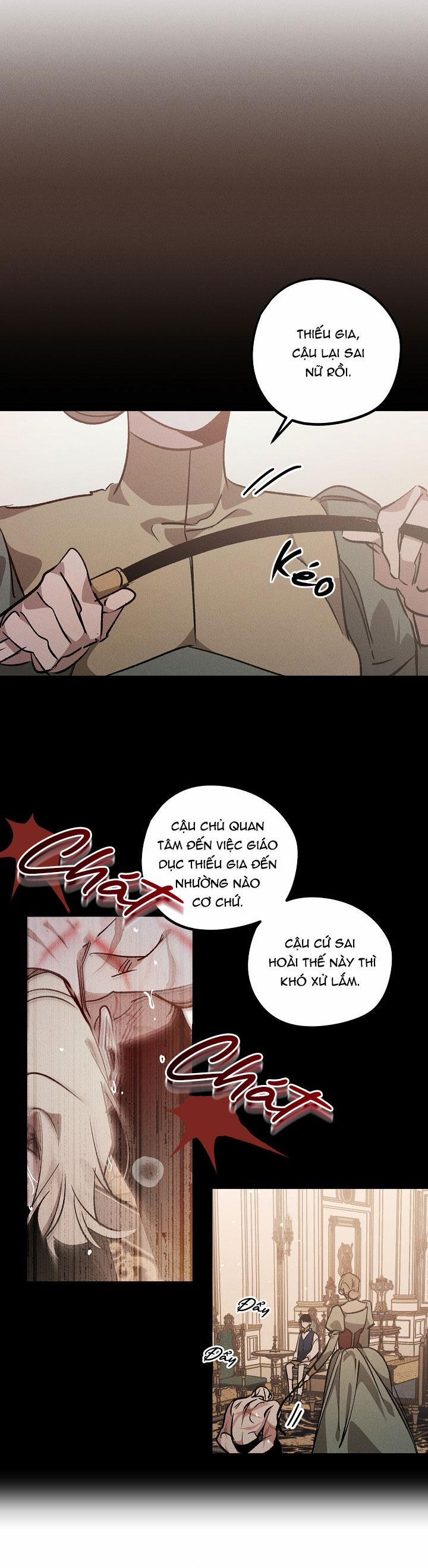 Khu Vườn Hoa Lavender 3 trang 7