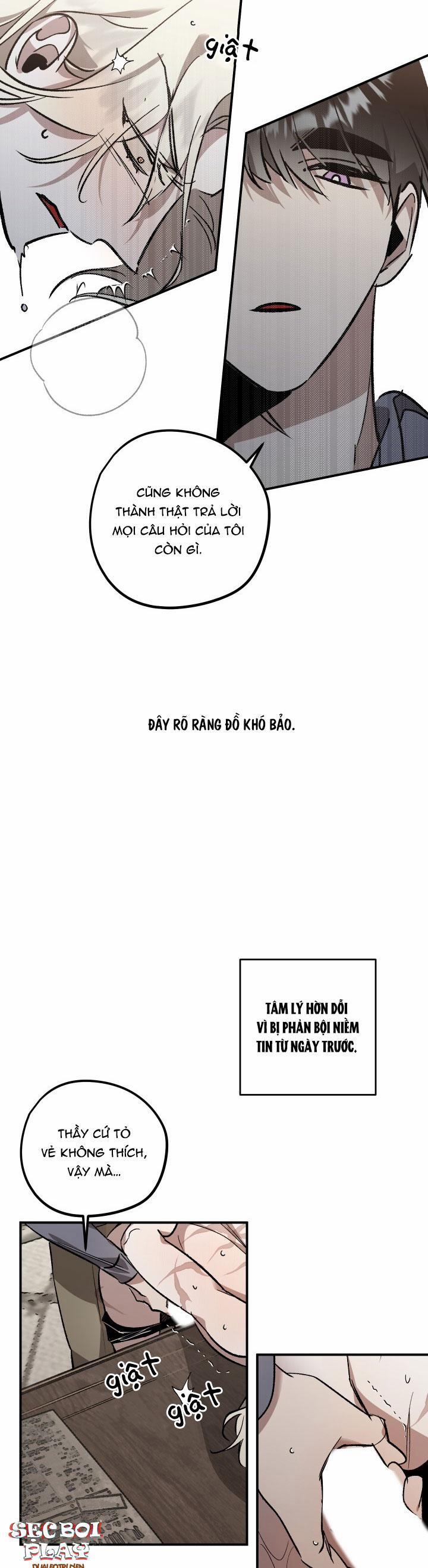 Khu Vườn Hoa Lavender 4 trang 12