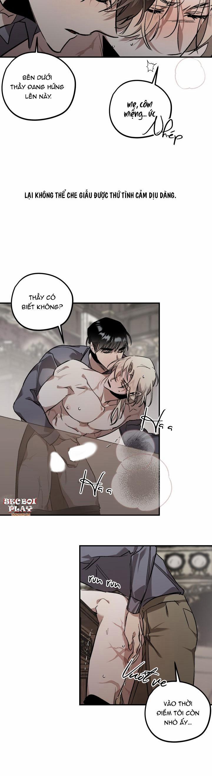 Khu Vườn Hoa Lavender 4 trang 14