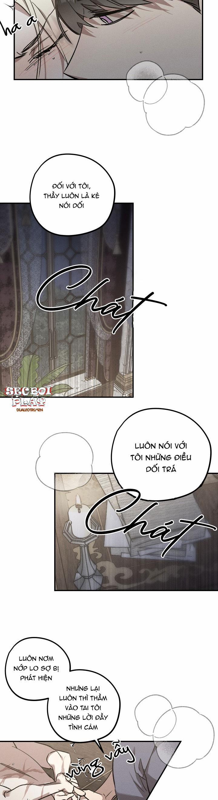 Khu Vườn Hoa Lavender 4 trang 19