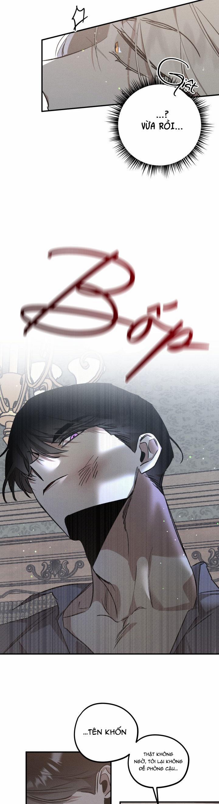 Khu Vườn Hoa Lavender 4 trang 2