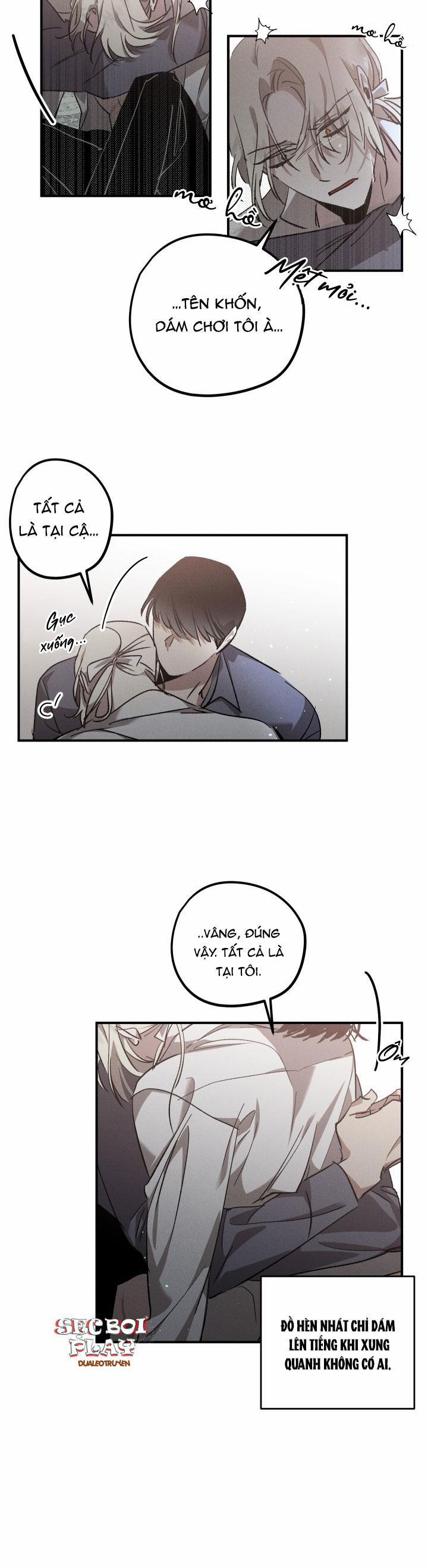 Khu Vườn Hoa Lavender 4 trang 4