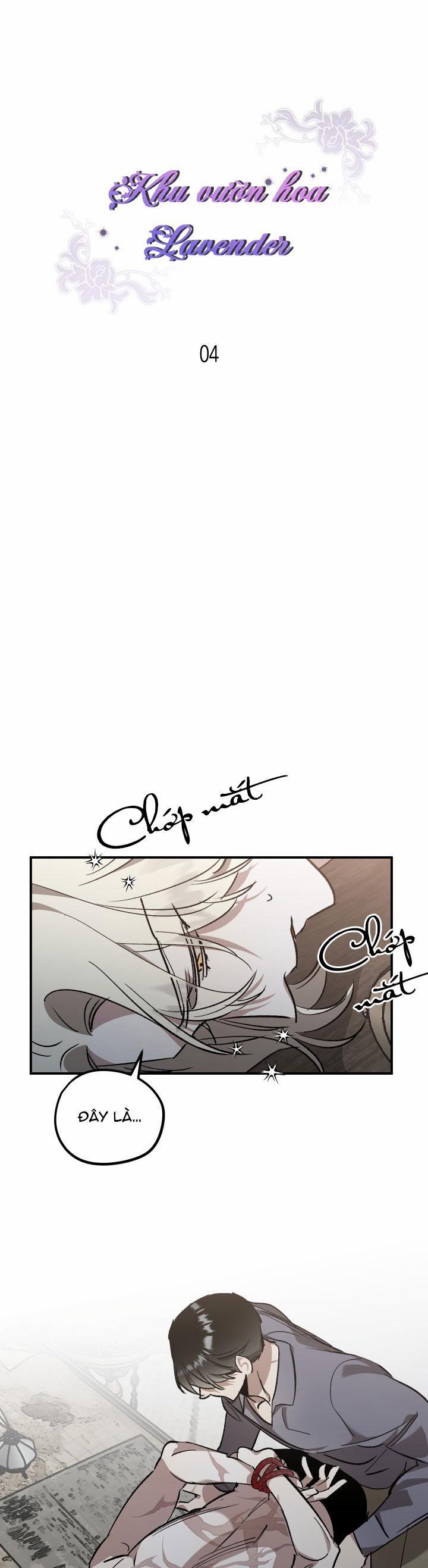 Khu Vườn Hoa Lavender 4 trang 6