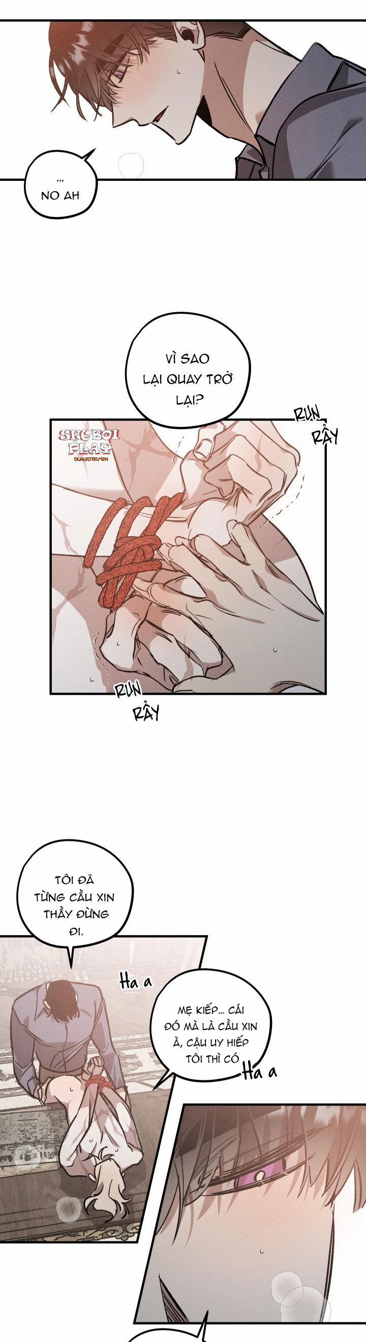 Khu Vườn Hoa Lavender 5 trang 1