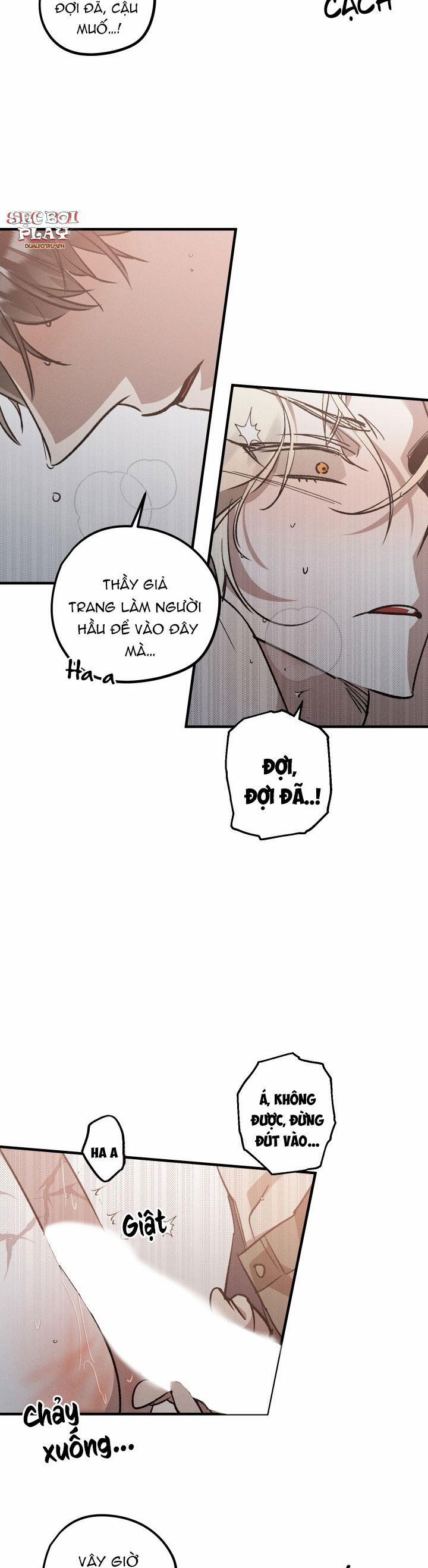 Khu Vườn Hoa Lavender 5 trang 11