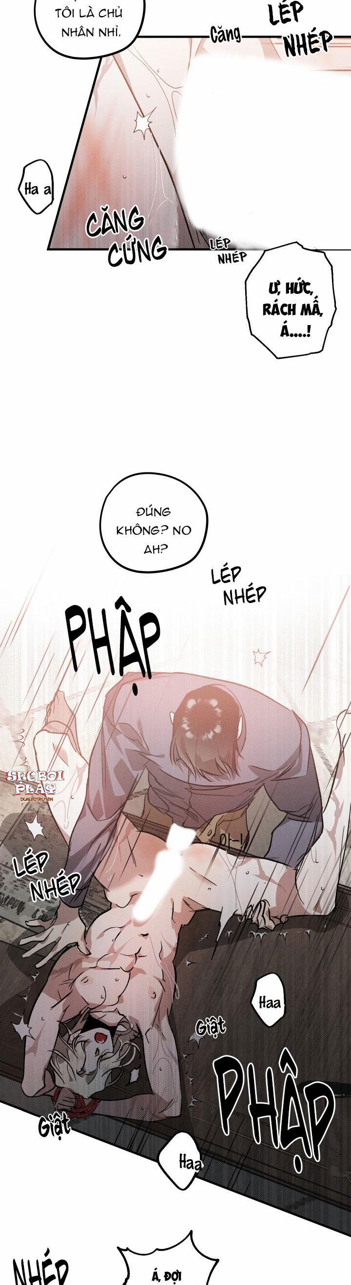 Khu Vườn Hoa Lavender 5 trang 12