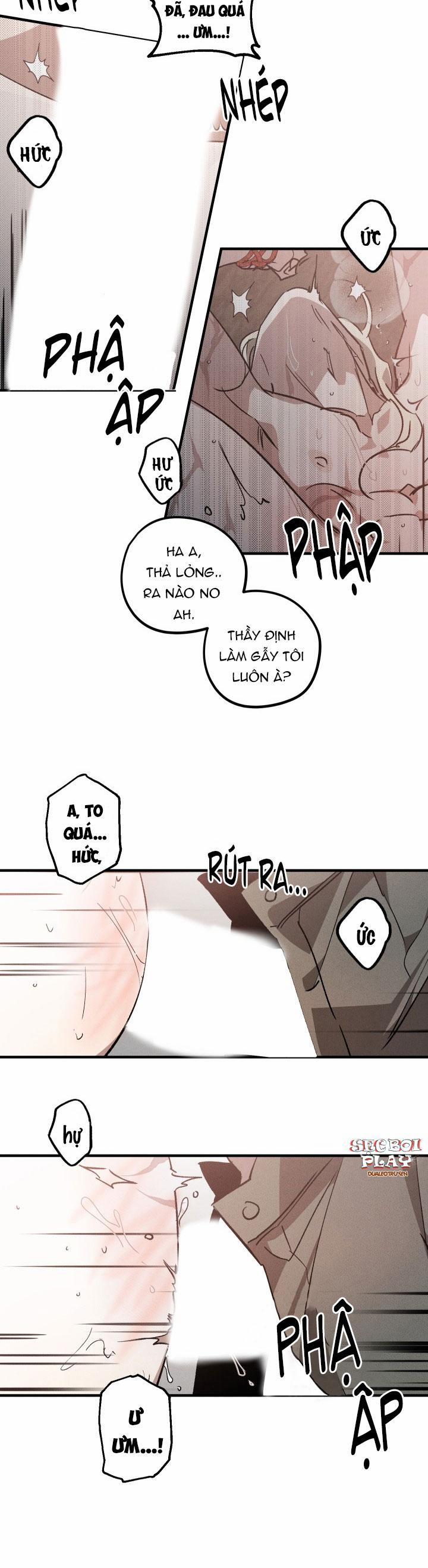 Khu Vườn Hoa Lavender 5 trang 13