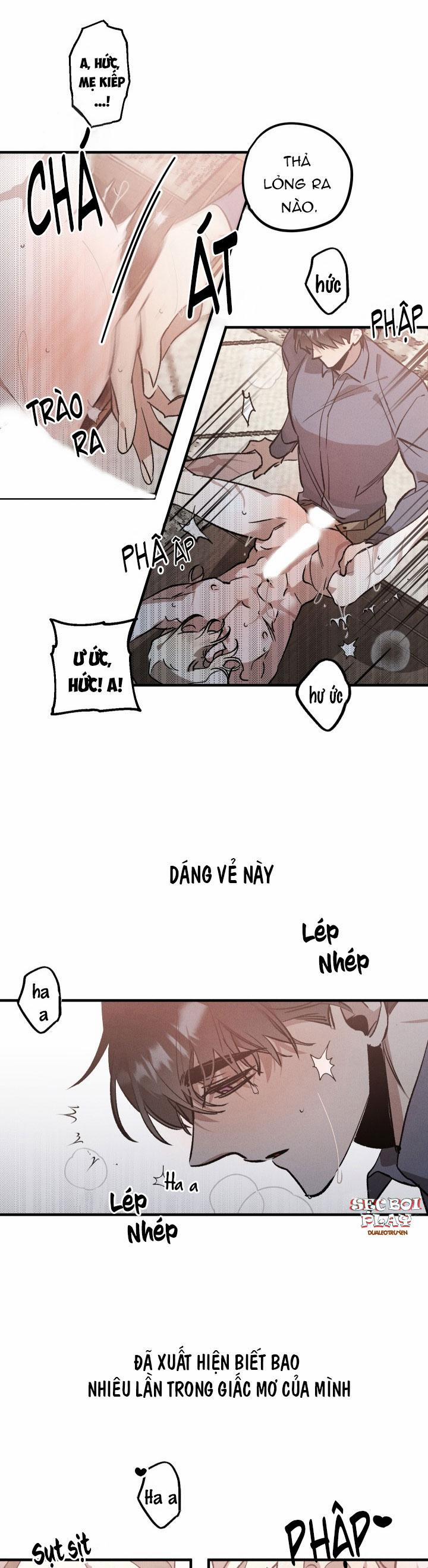 Khu Vườn Hoa Lavender 5 trang 14