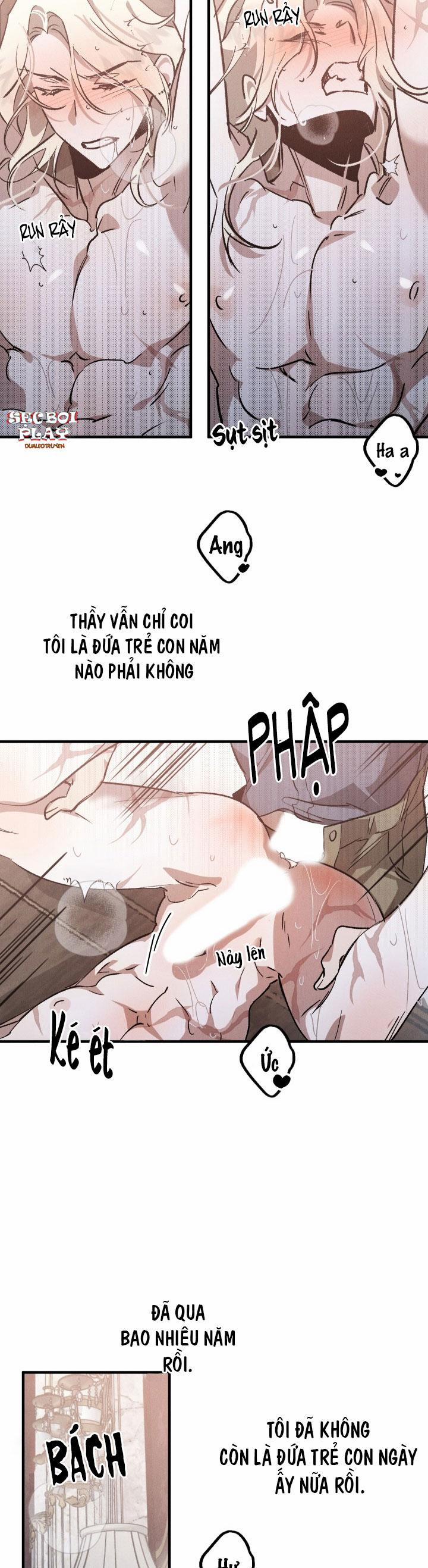 Khu Vườn Hoa Lavender 5 trang 15