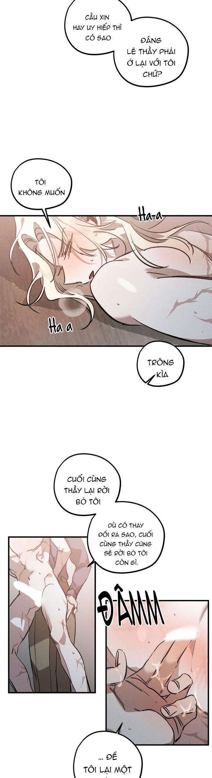 Khu Vườn Hoa Lavender 5 trang 2