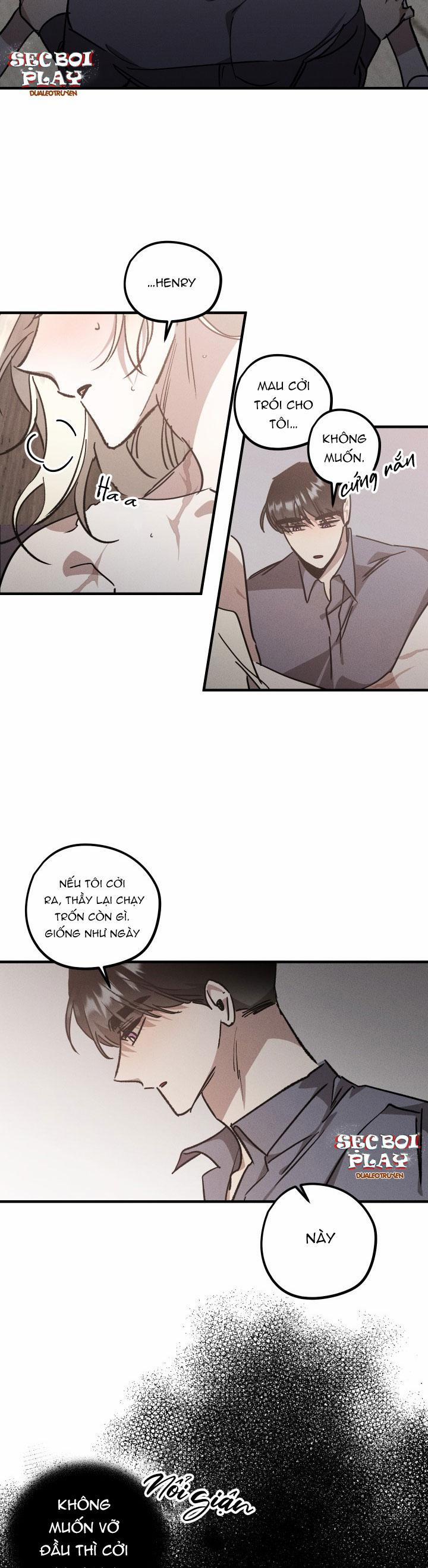 Khu Vườn Hoa Lavender 6 trang 1