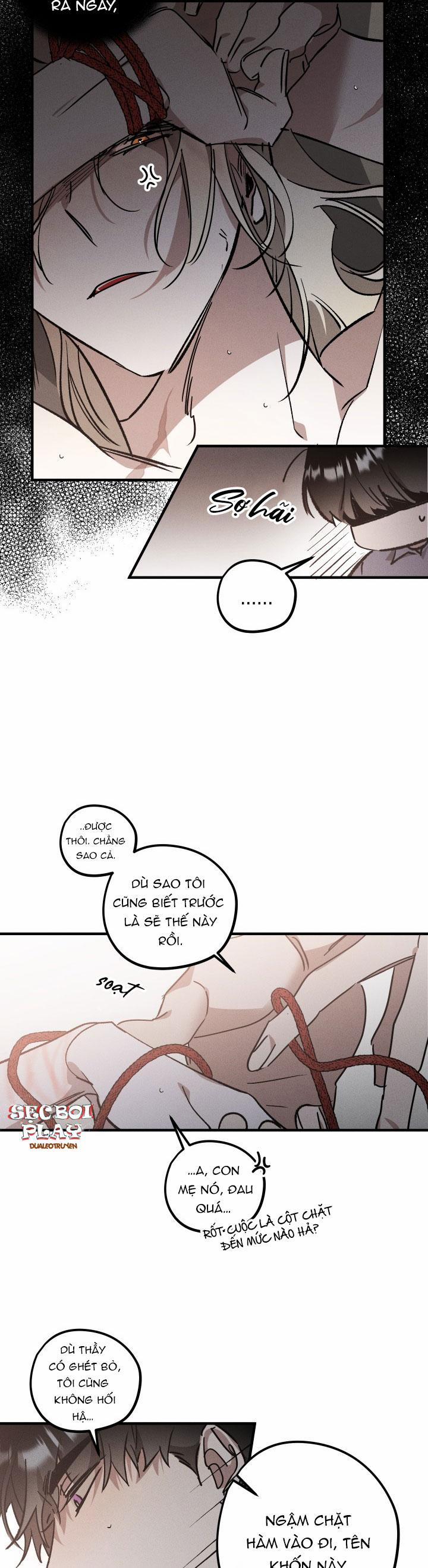 Khu Vườn Hoa Lavender 6 trang 2