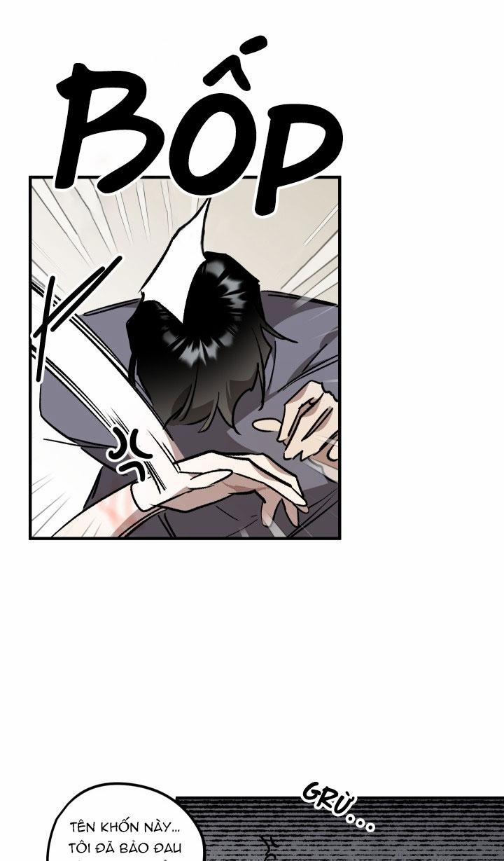 Khu Vườn Hoa Lavender 6 trang 20