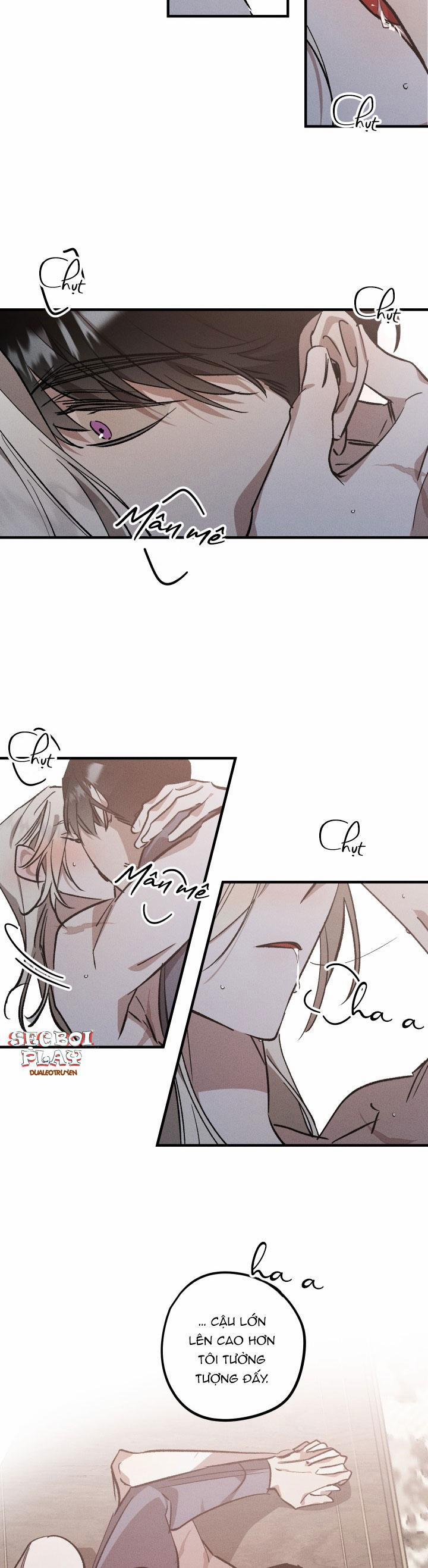 Khu Vườn Hoa Lavender 6 trang 4