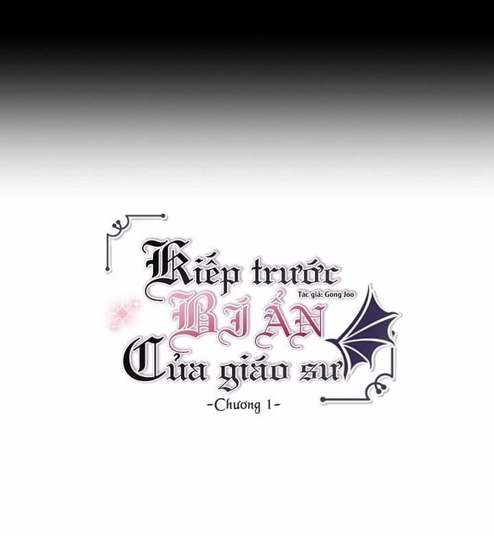 Kiếp Trước Bí Ẩn Của Giáo Sư 1 trang 21