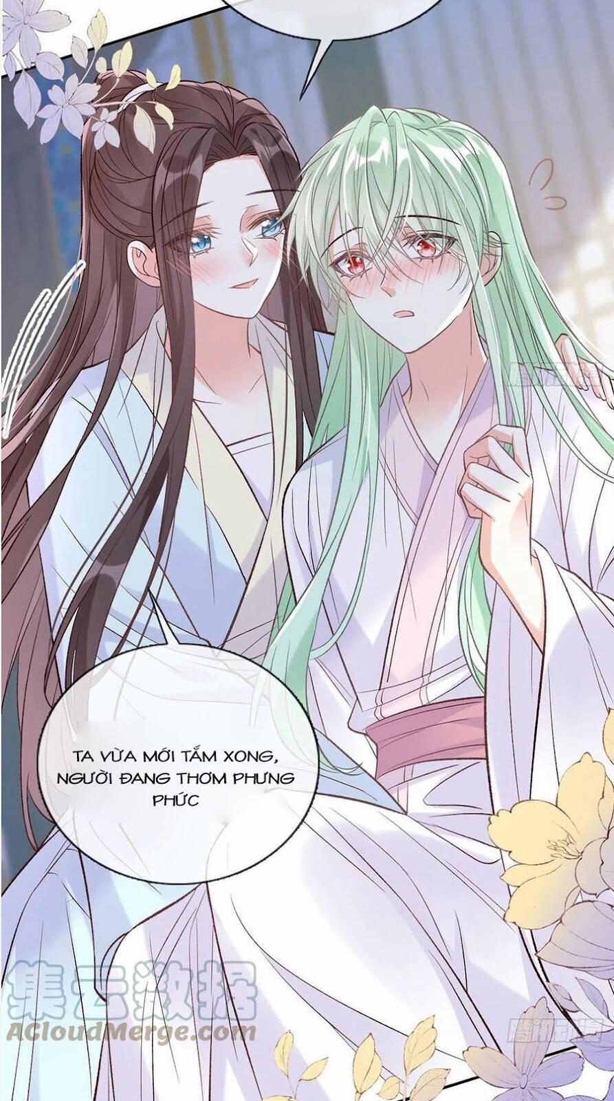 Kiều Mỵ Phu Lang, Tại Tuyến Lục Trà 100 trang 14