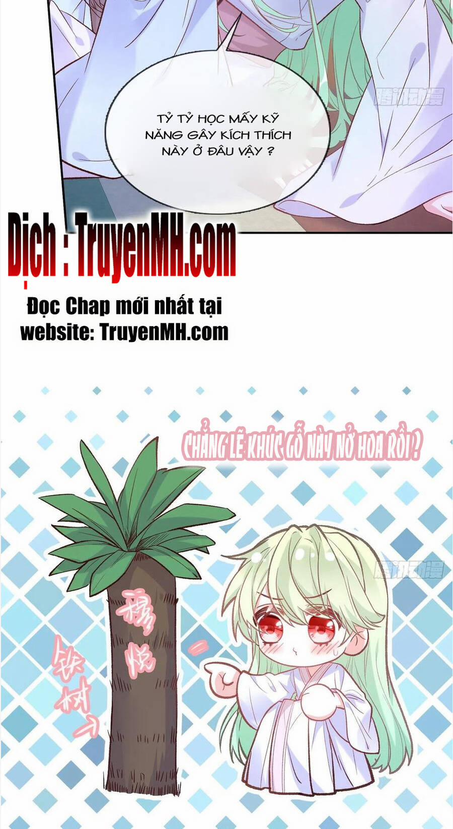 Kiều Mỵ Phu Lang, Tại Tuyến Lục Trà 102 trang 3