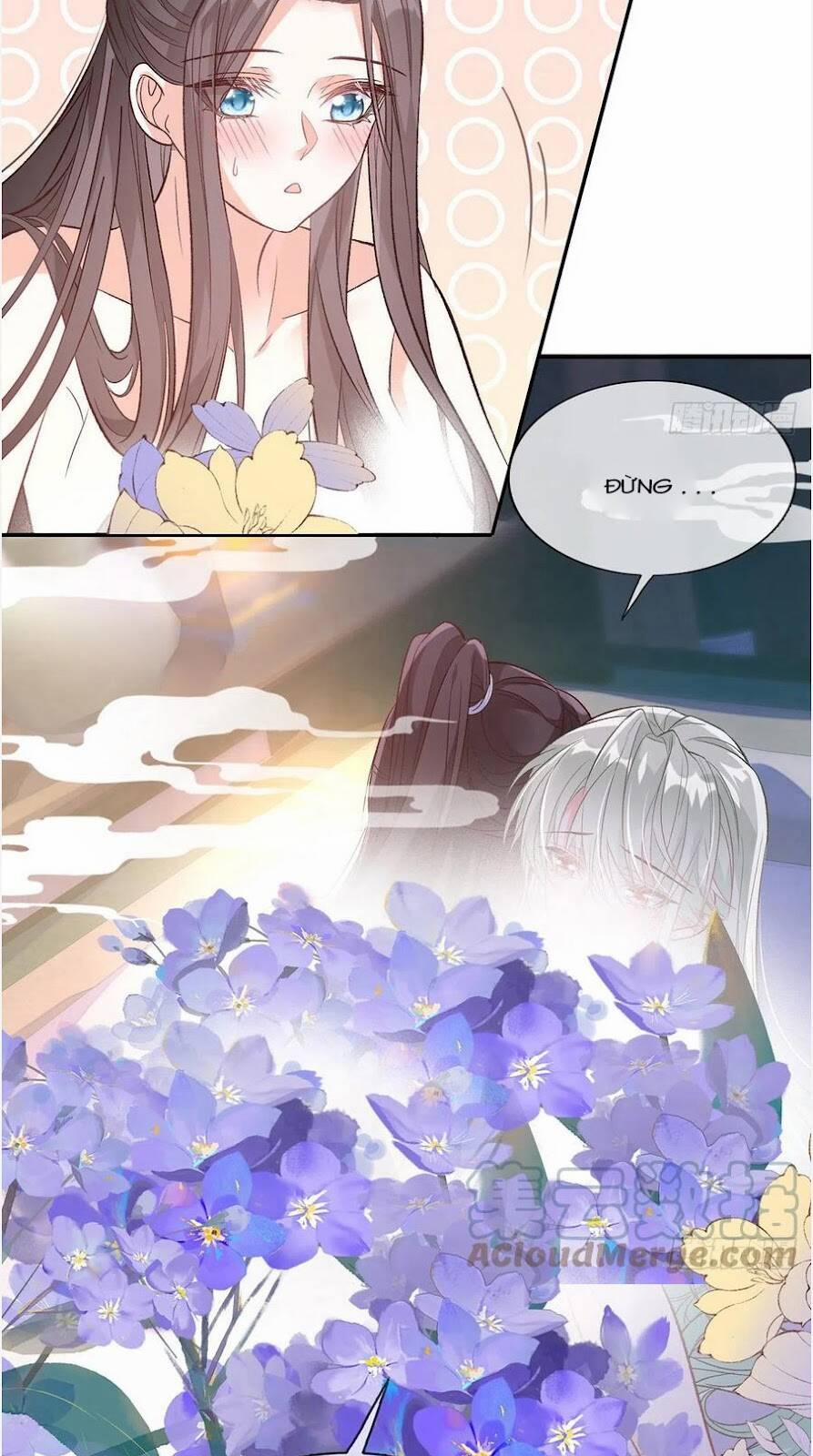 Kiều Mỵ Phu Lang, Tại Tuyến Lục Trà 103 trang 15