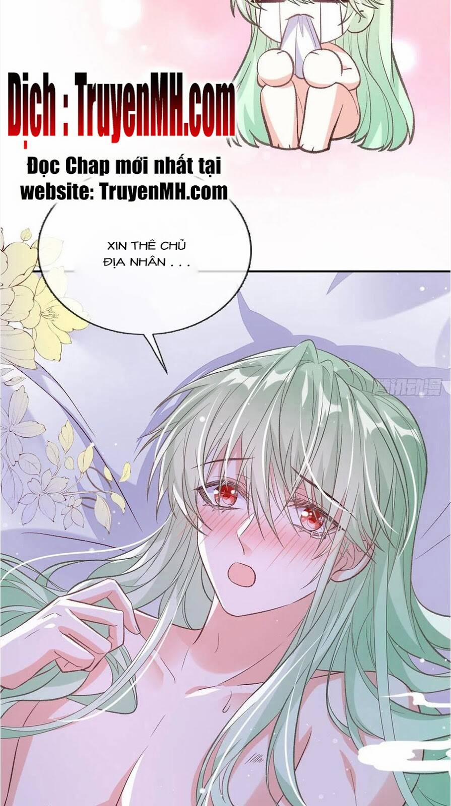 Kiều Mỵ Phu Lang, Tại Tuyến Lục Trà 104 trang 3