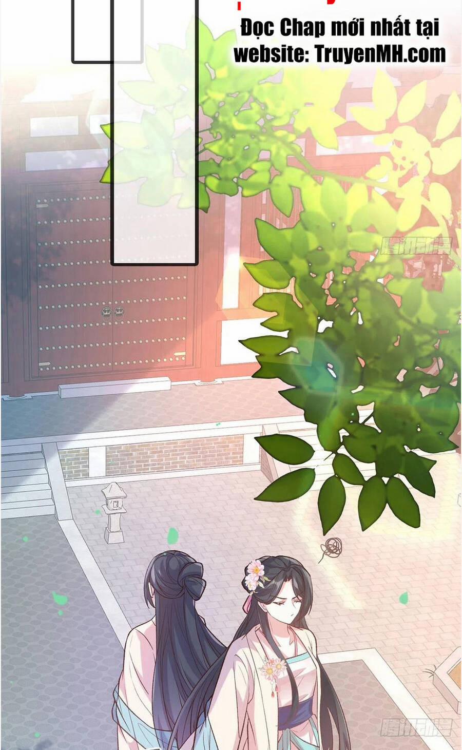 Kiều Mỵ Phu Lang, Tại Tuyến Lục Trà 116 trang 14