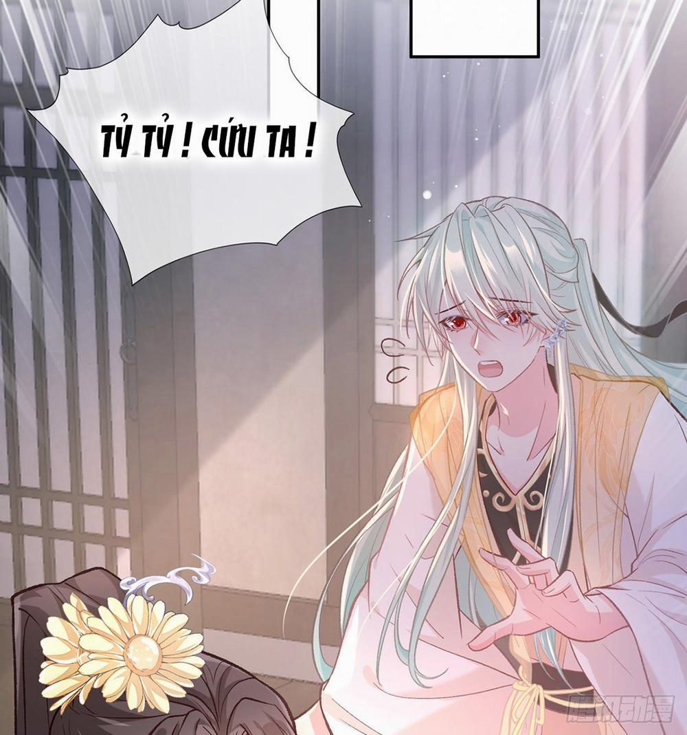 Kiều Mỵ Phu Lang, Tại Tuyến Lục Trà 25 trang 15