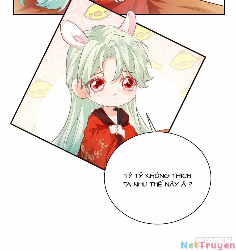 Kiều Mỵ Phu Lang, Tại Tuyến Lục Trà 4 trang 14