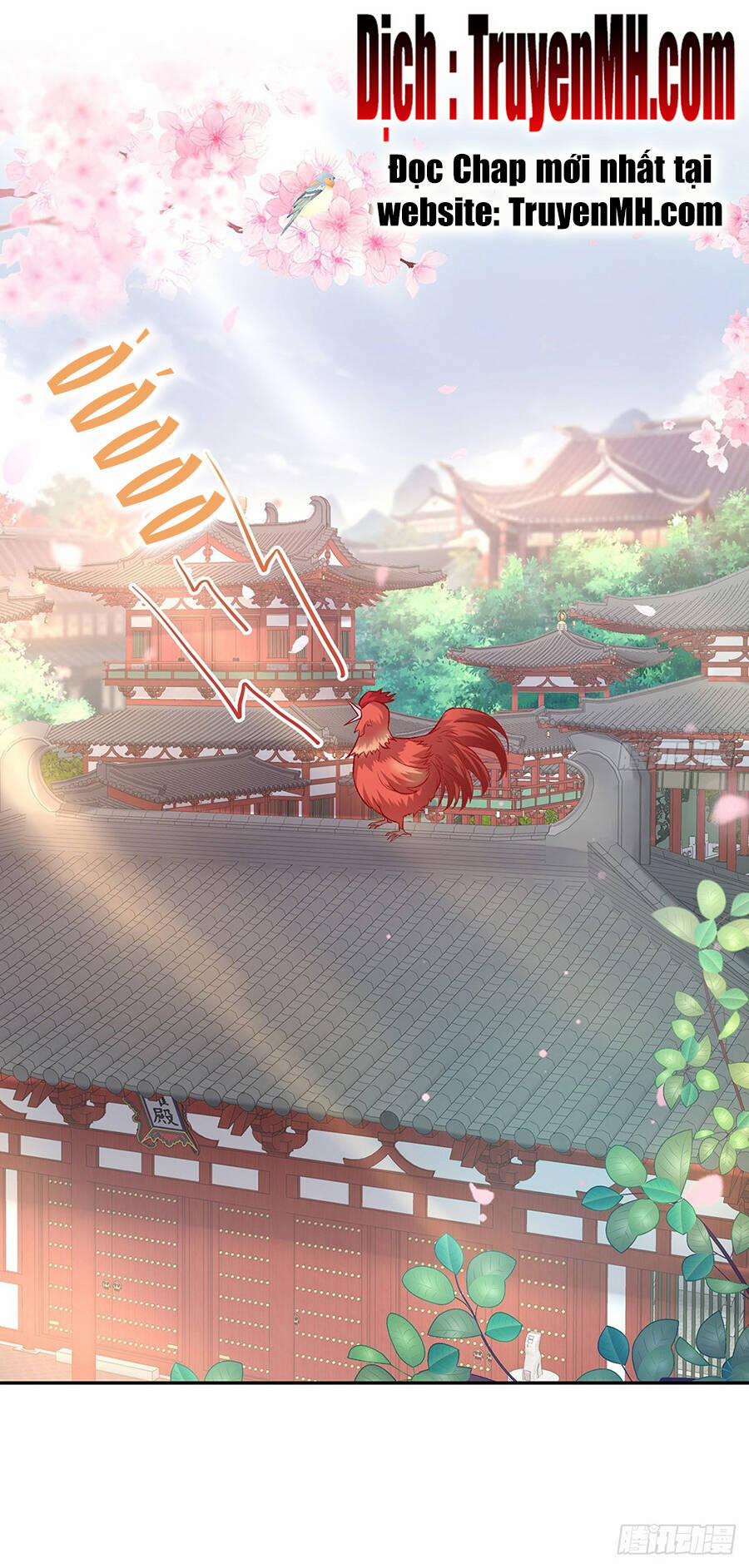 Kiều Mỵ Phu Lang, Tại Tuyến Lục Trà 40 trang 1