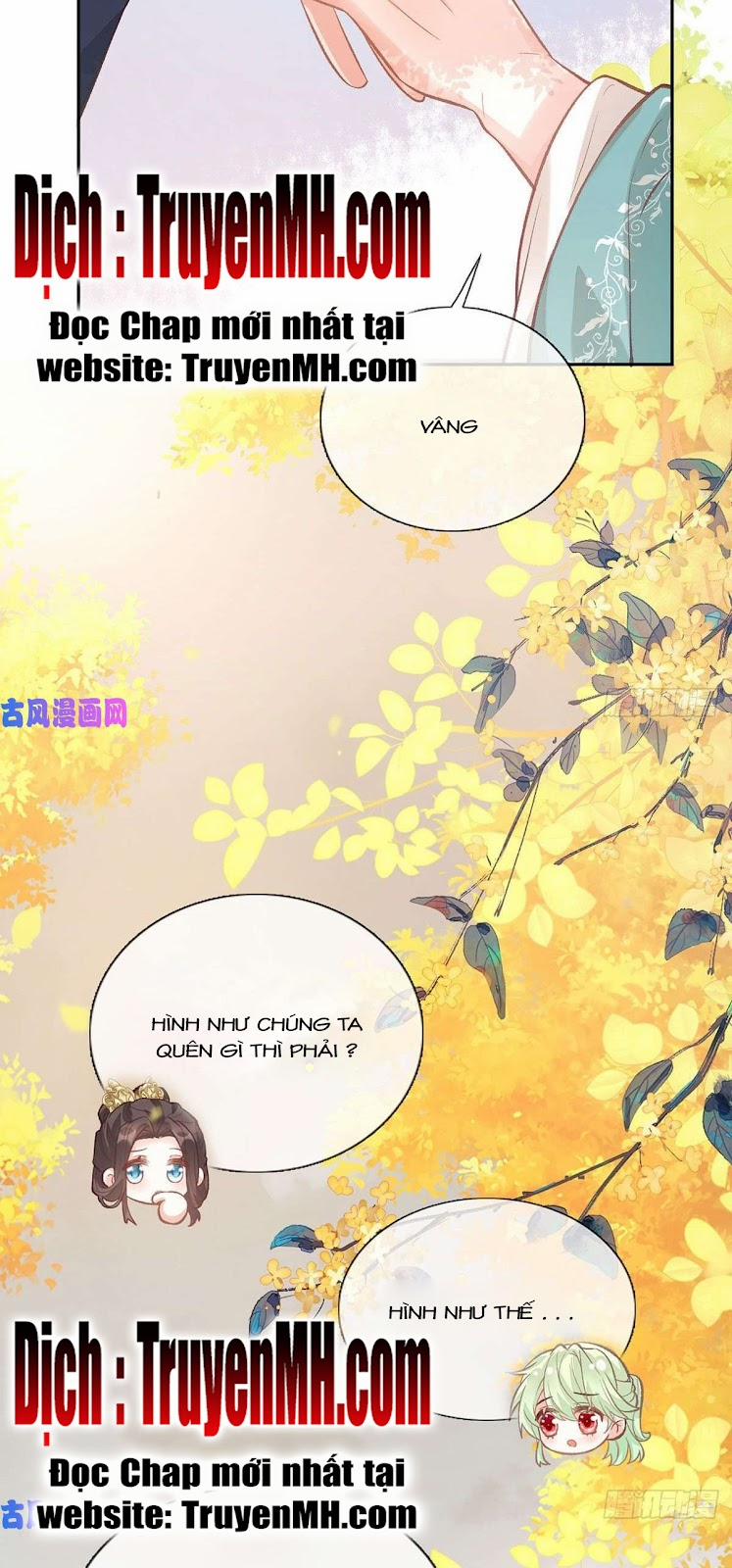 Kiều Mỵ Phu Lang, Tại Tuyến Lục Trà 61 trang 17