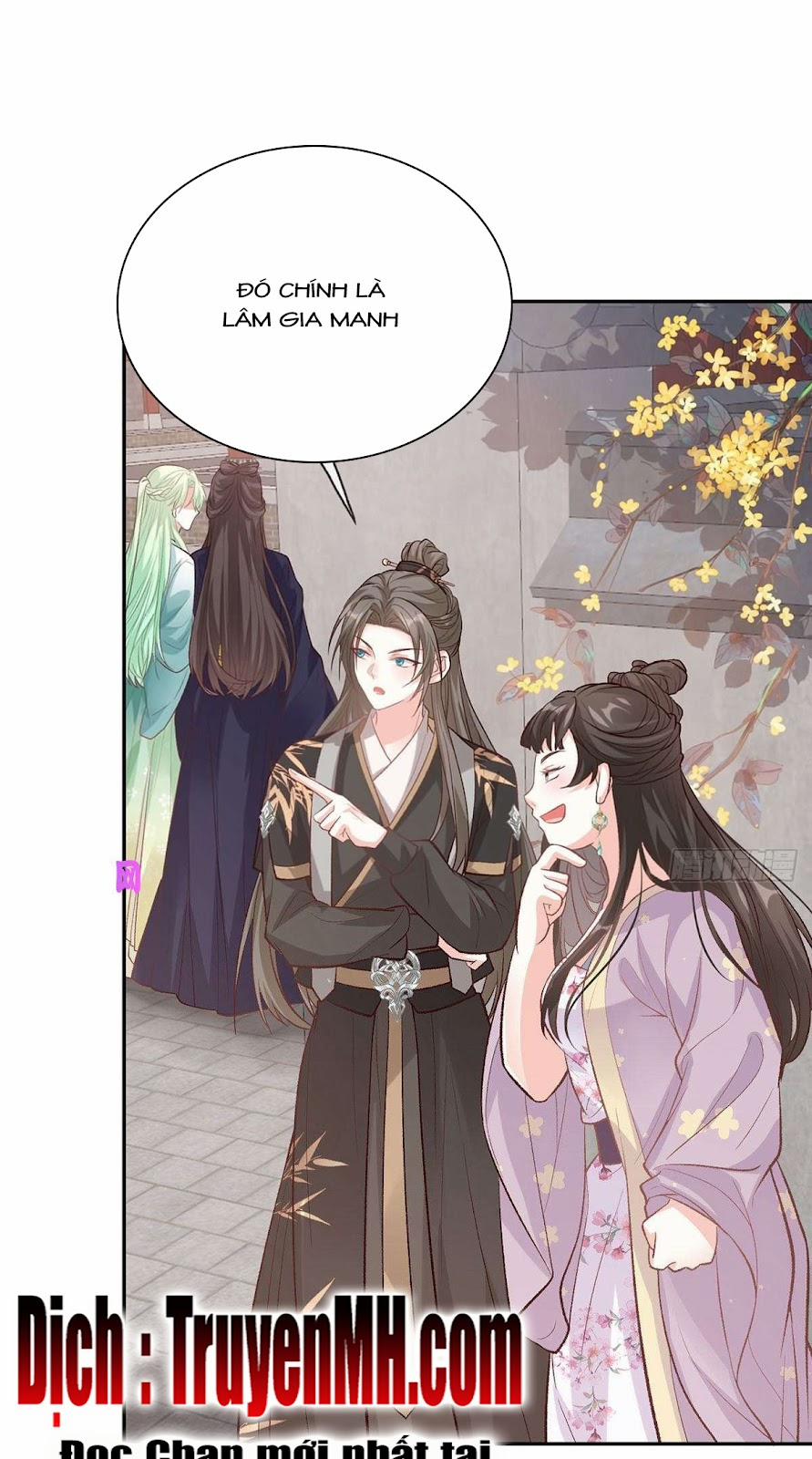 Kiều Mỵ Phu Lang, Tại Tuyến Lục Trà 62 trang 1