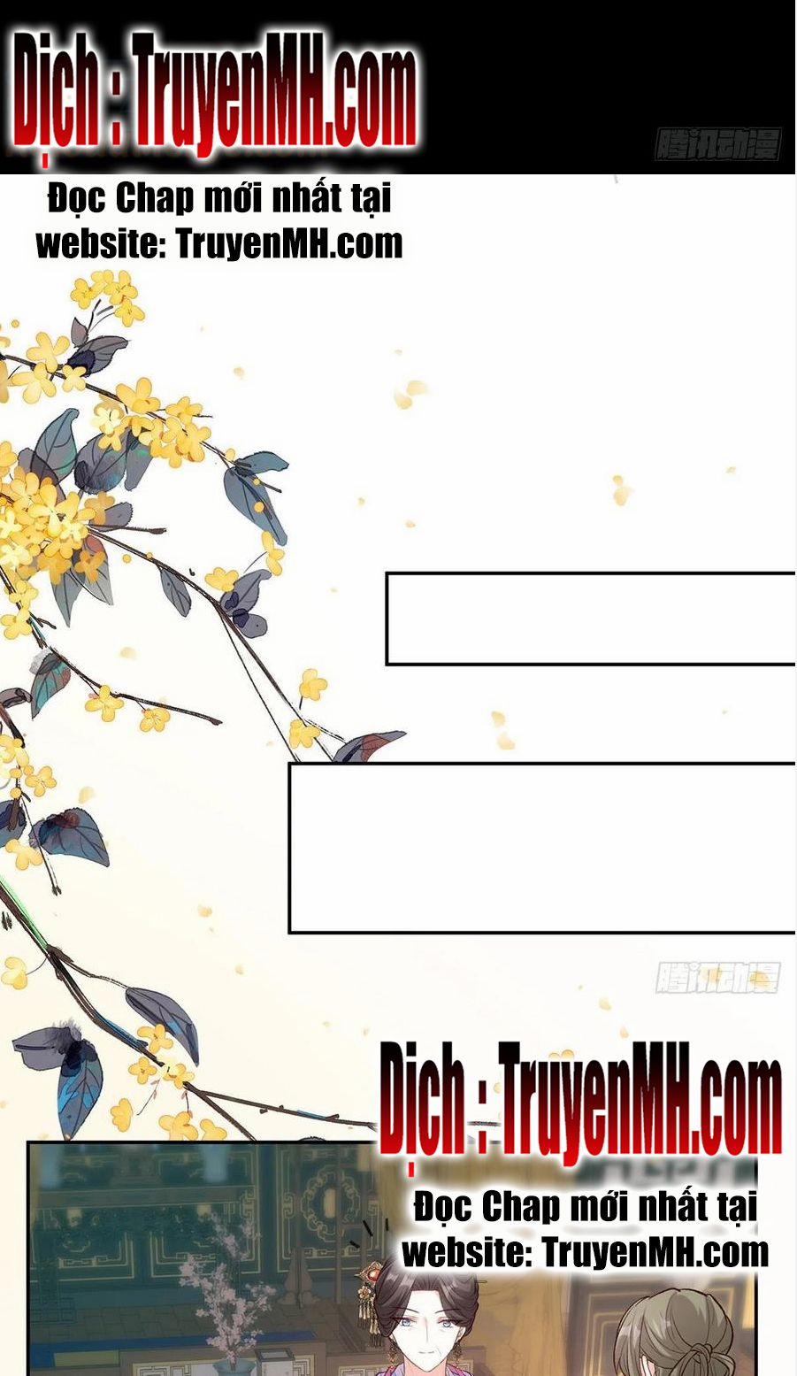 Kiều Mỵ Phu Lang, Tại Tuyến Lục Trà 65 trang 1