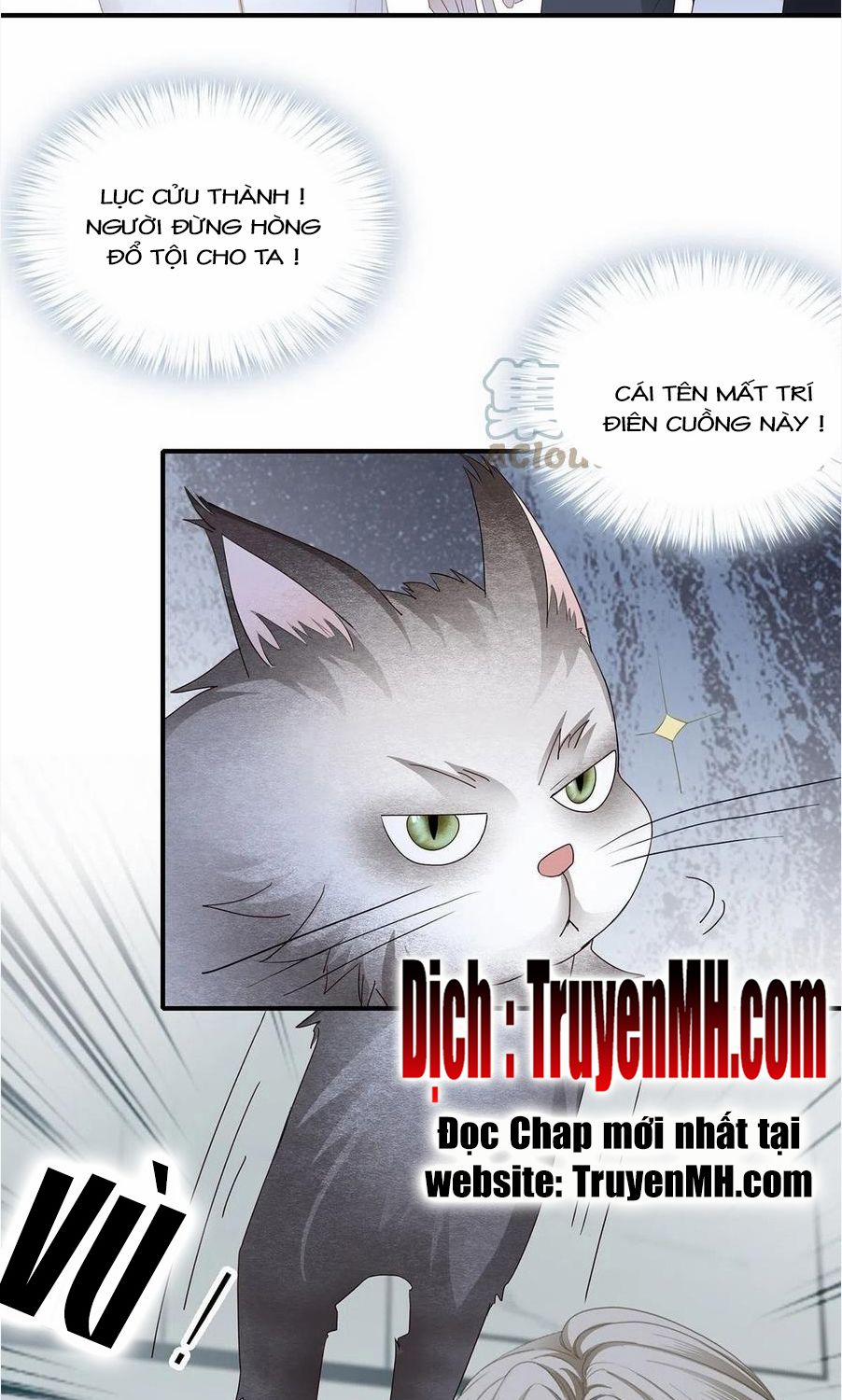 Kiều Mỵ Phu Lang, Tại Tuyến Lục Trà 69 trang 2