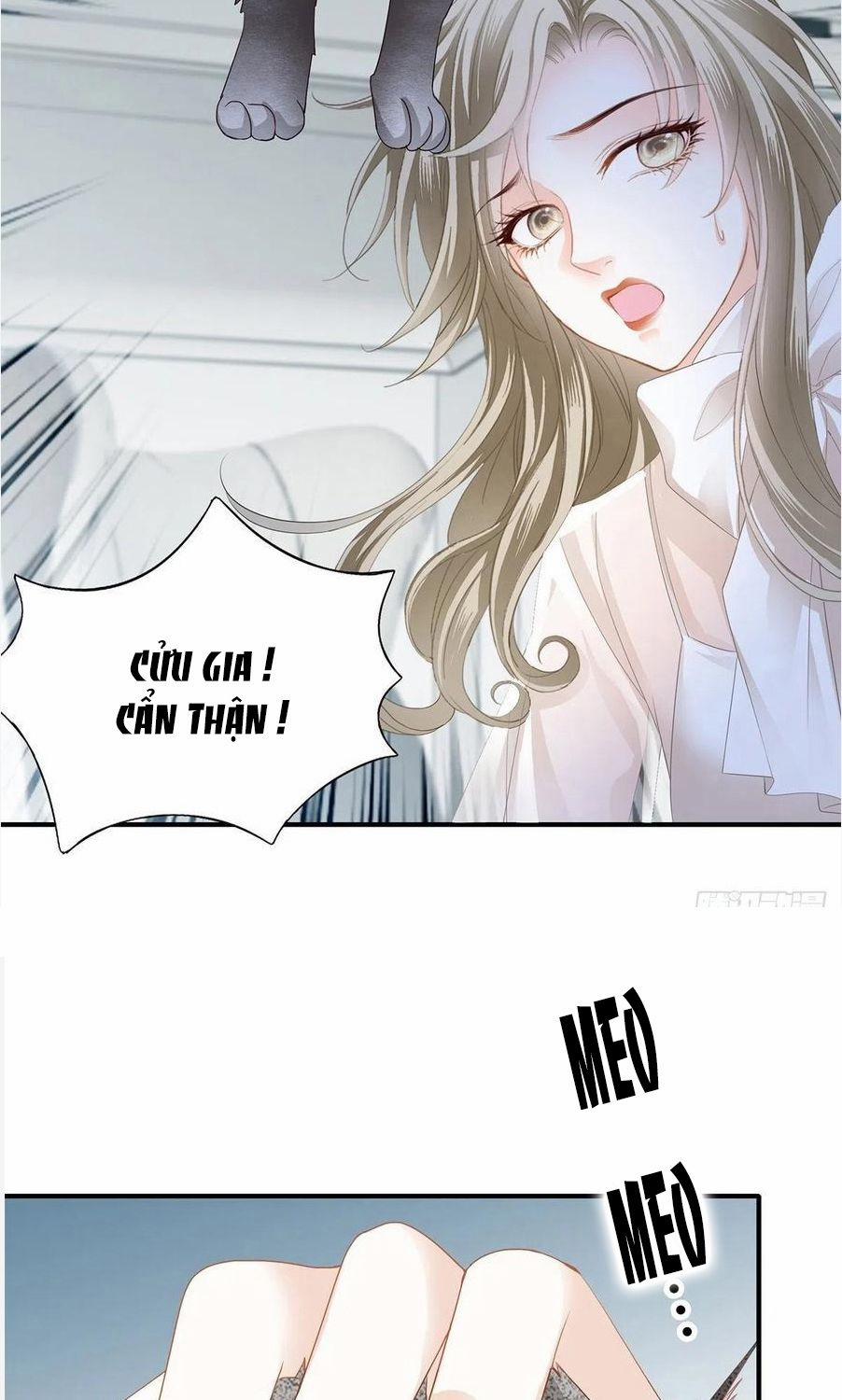 Kiều Mỵ Phu Lang, Tại Tuyến Lục Trà 69 trang 3