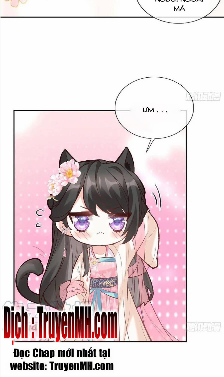 Kiều Mỵ Phu Lang, Tại Tuyến Lục Trà 71 trang 18