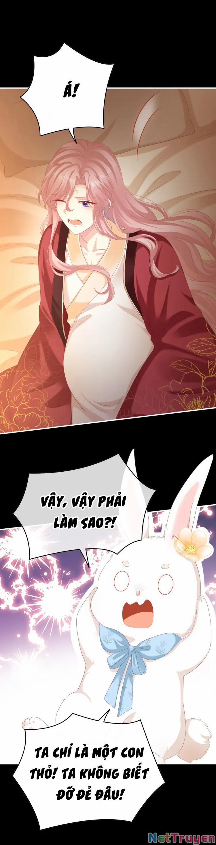 Kiều Phu Có Hỉ 58 trang 3