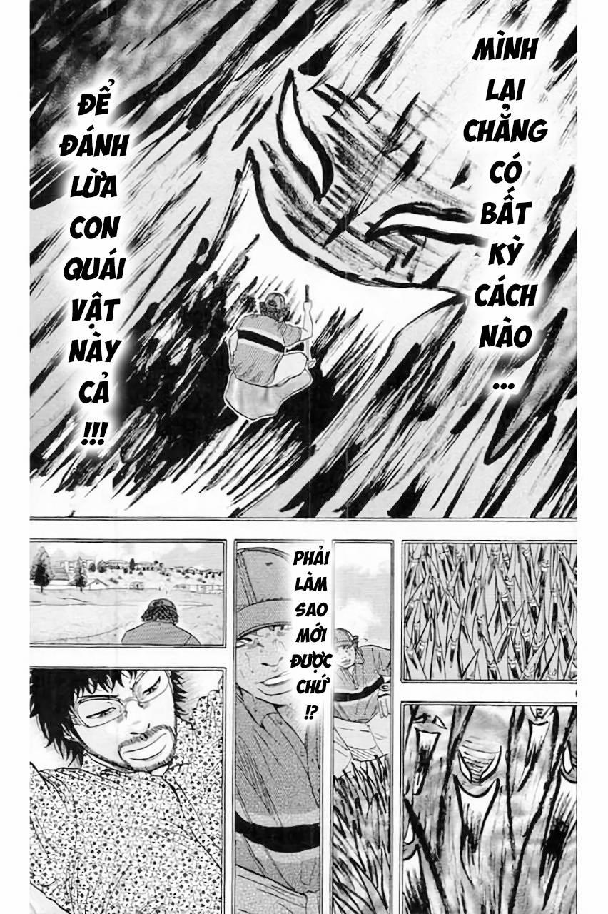 King Golf 205 trang 4