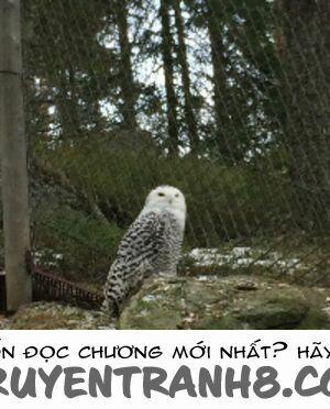 Kinh Dị Không Lời 0 0 Sấm sét trang 18