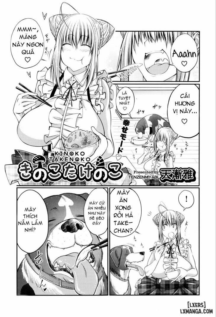 Kinoko Takenoko Mushroom Bamboo Shoot 1 trang 0