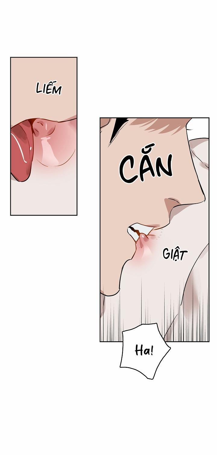 Kiss me liar 21 trang 12