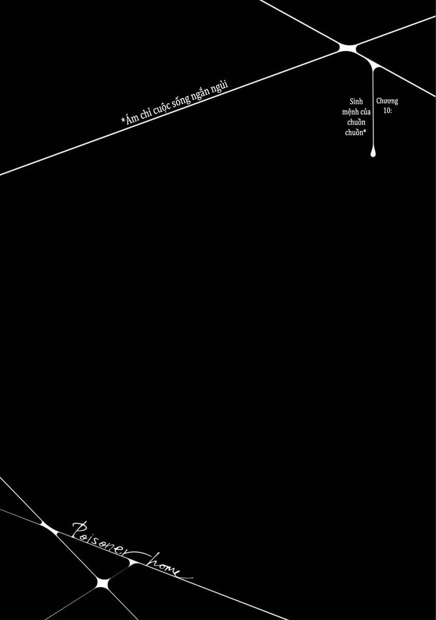 Kodoku No Ie 10 trang 0