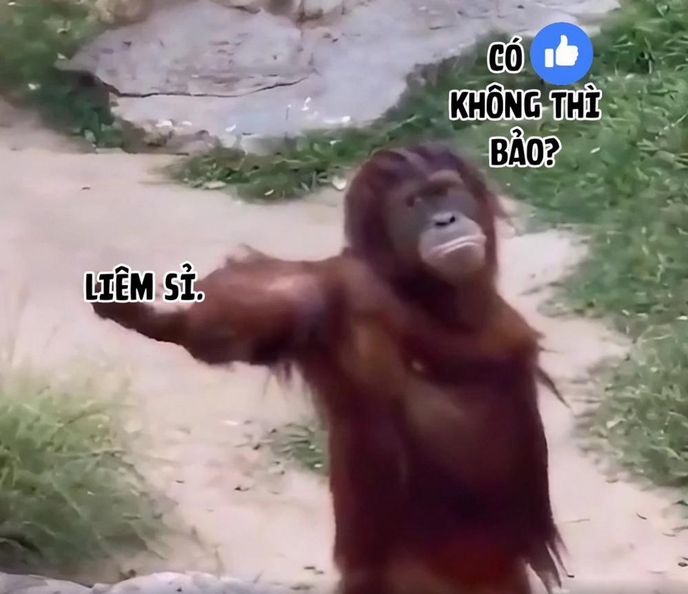 Kurokami Joukyou Shoujo to Otoko darake no Sharehouse gộp trang 59