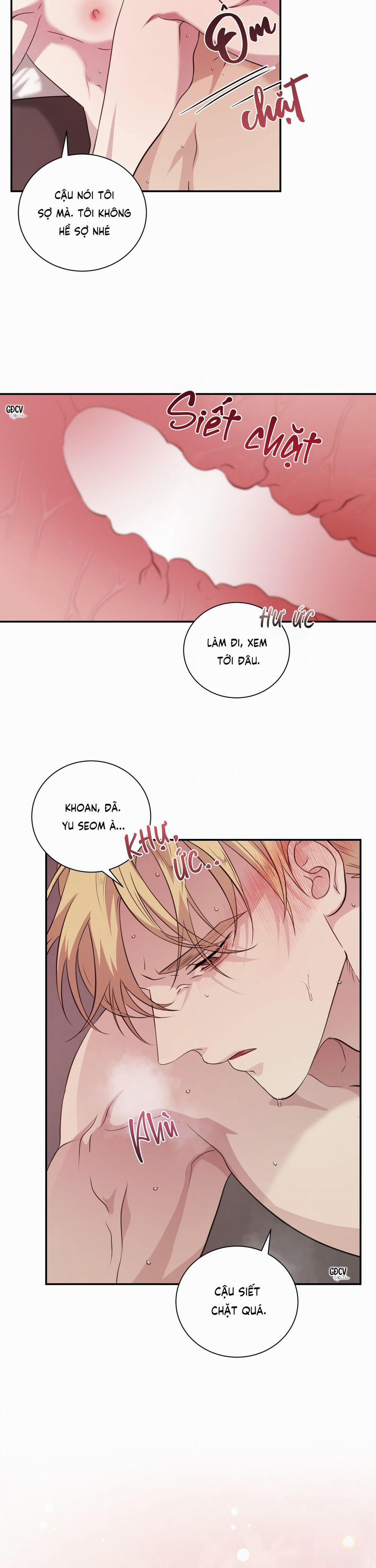 KỲ ĐỘNG DỤC LÀ GÌ CHỨ? 7 trang 19