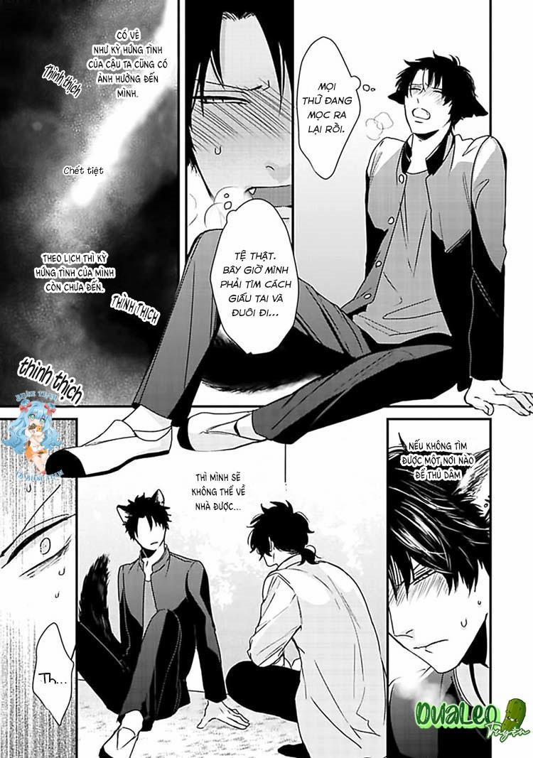 Kỳ Phát Tình Của Dê Và Sói 2 trang 15