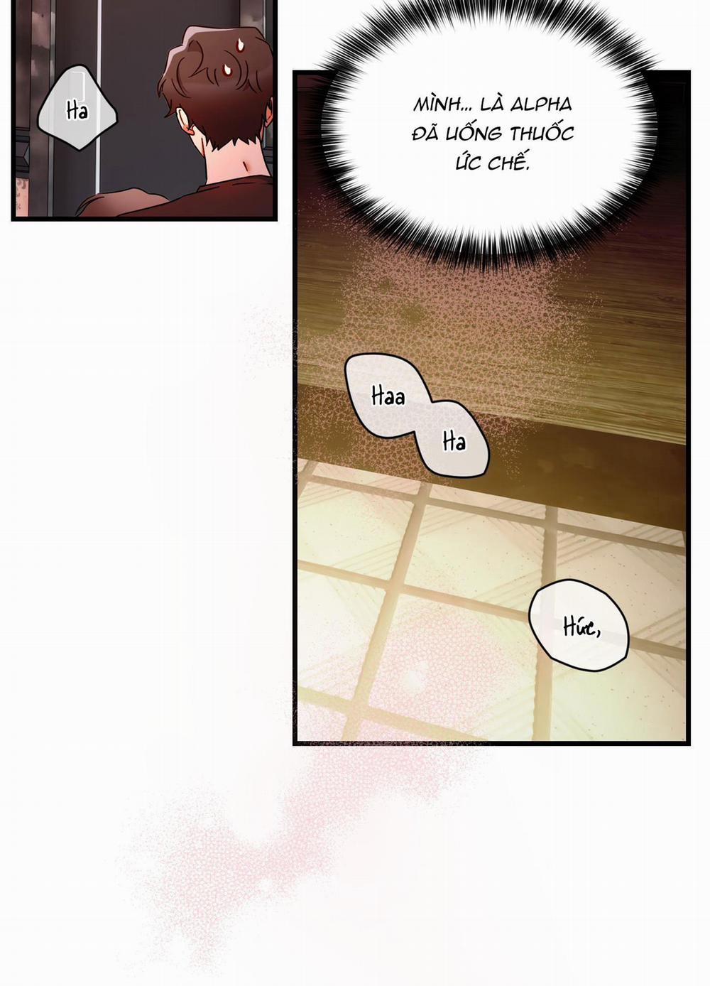 Ký Sự Alpha 2 trang 22