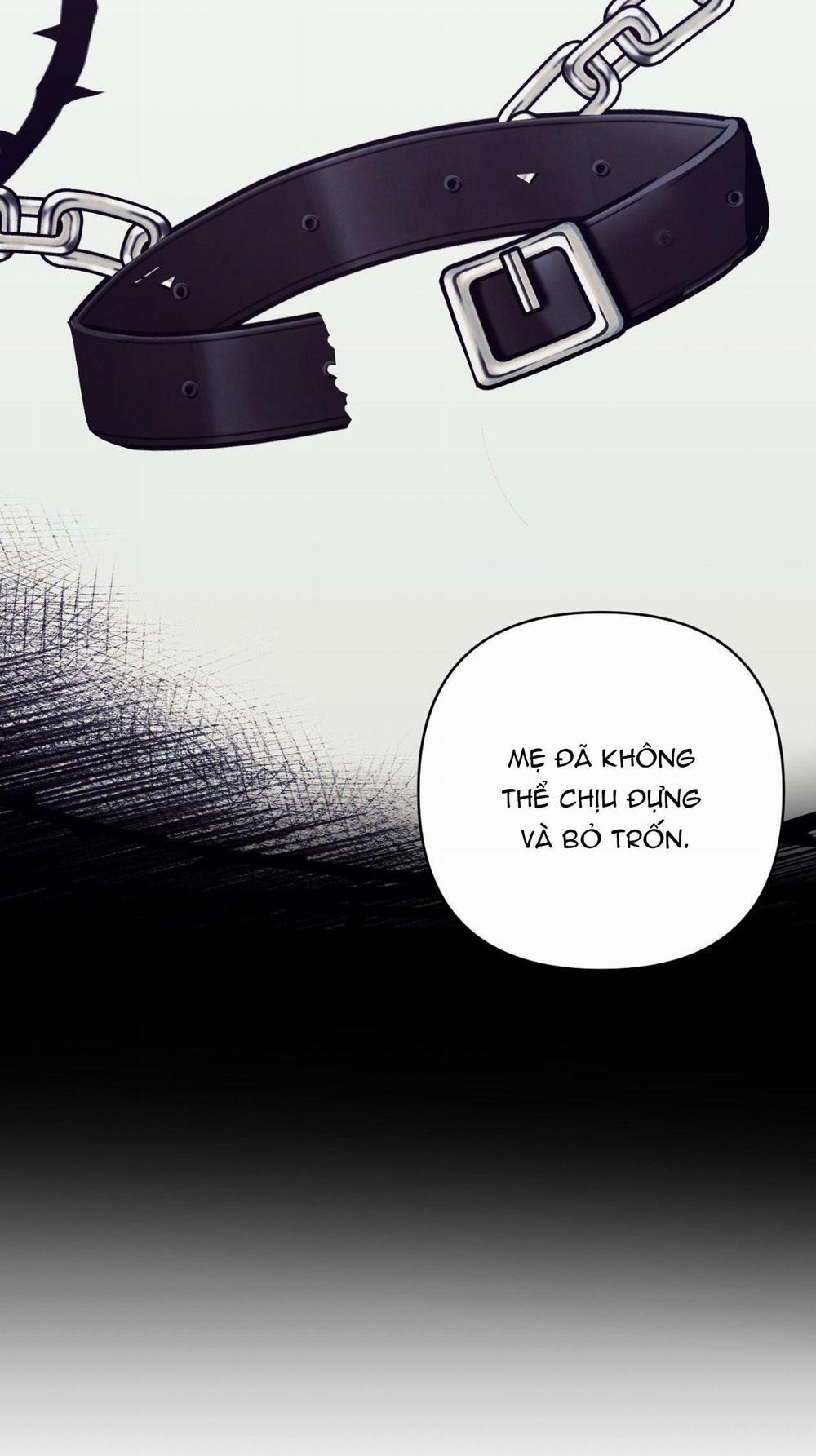 Kỳ Thị 36 trang 15