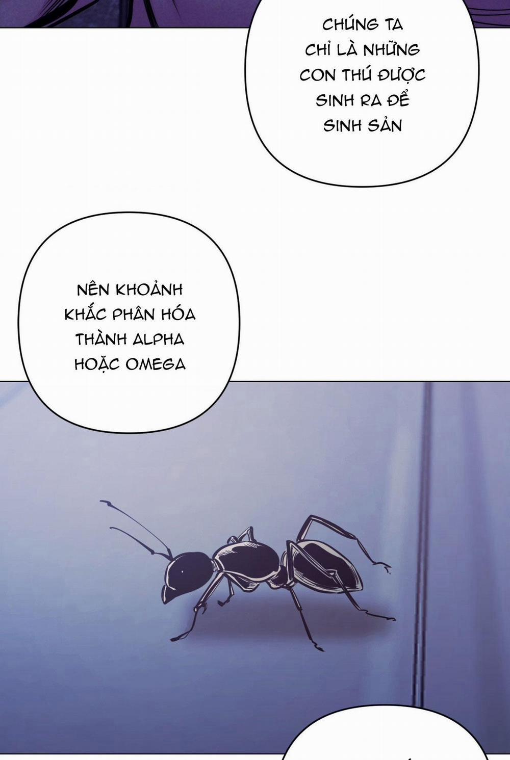 Kỳ Thị 36 trang 9