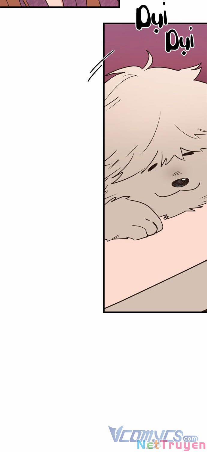 Ký Túc Xá Của Phù Thuỷ Độc Thân 12 trang 11