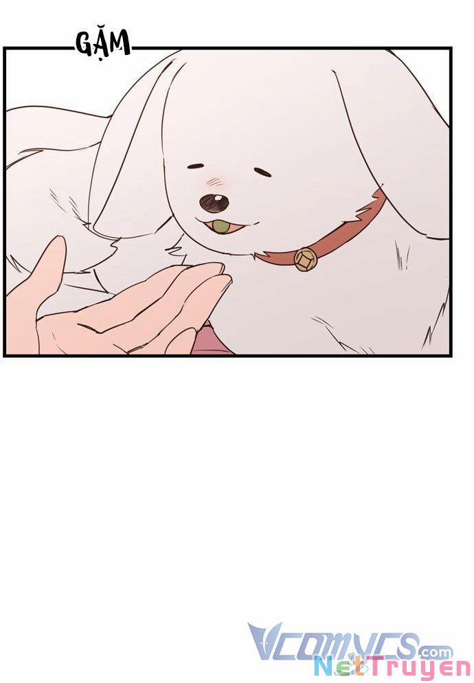 Ký Túc Xá Của Phù Thuỷ Độc Thân 13 trang 40