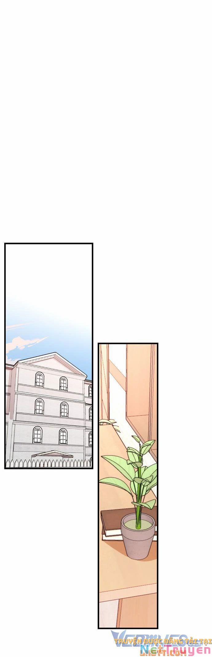 Ký Túc Xá Của Phù Thuỷ Độc Thân 15 trang 1