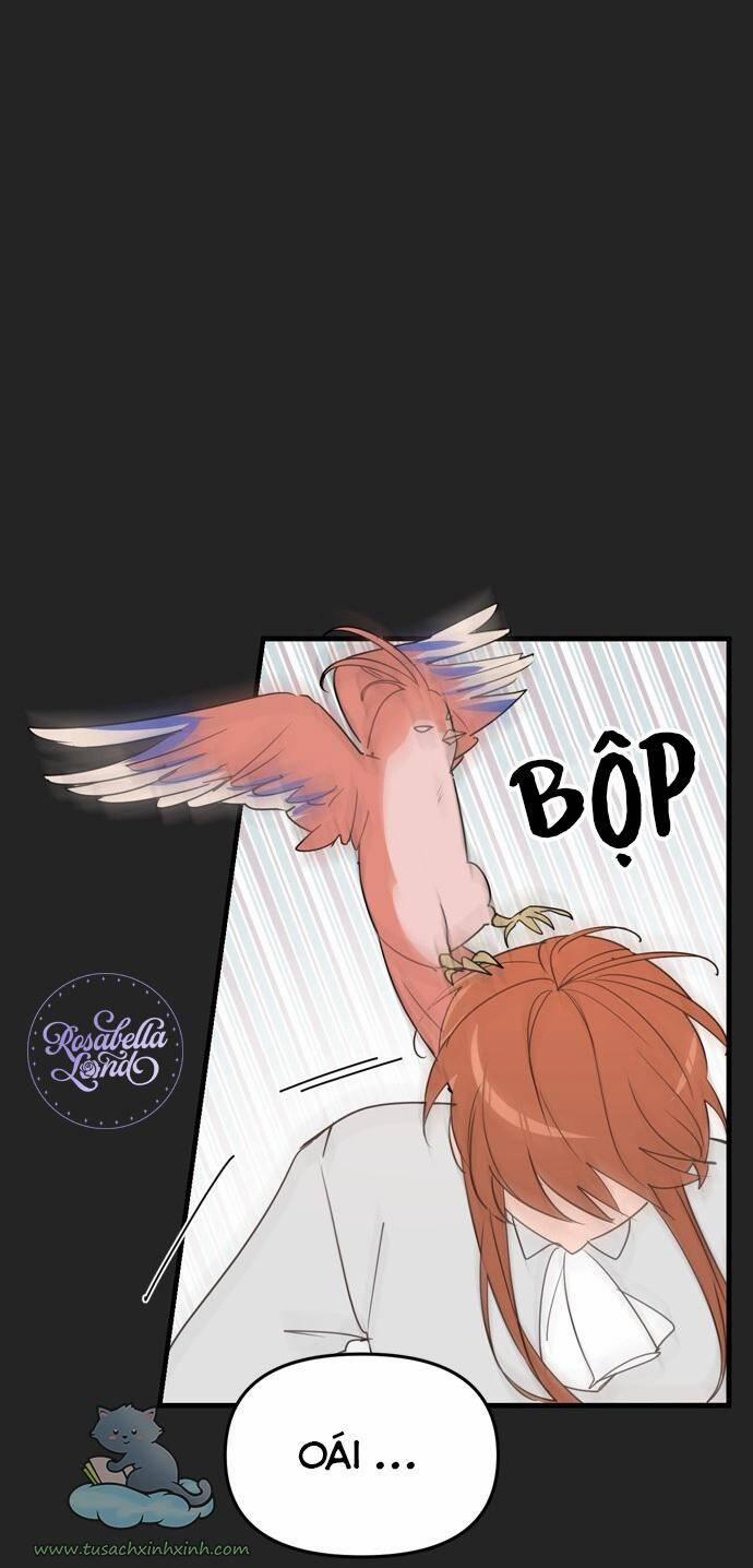 Ký Túc Xá Của Phù Thuỷ Độc Thân 9 trang 20