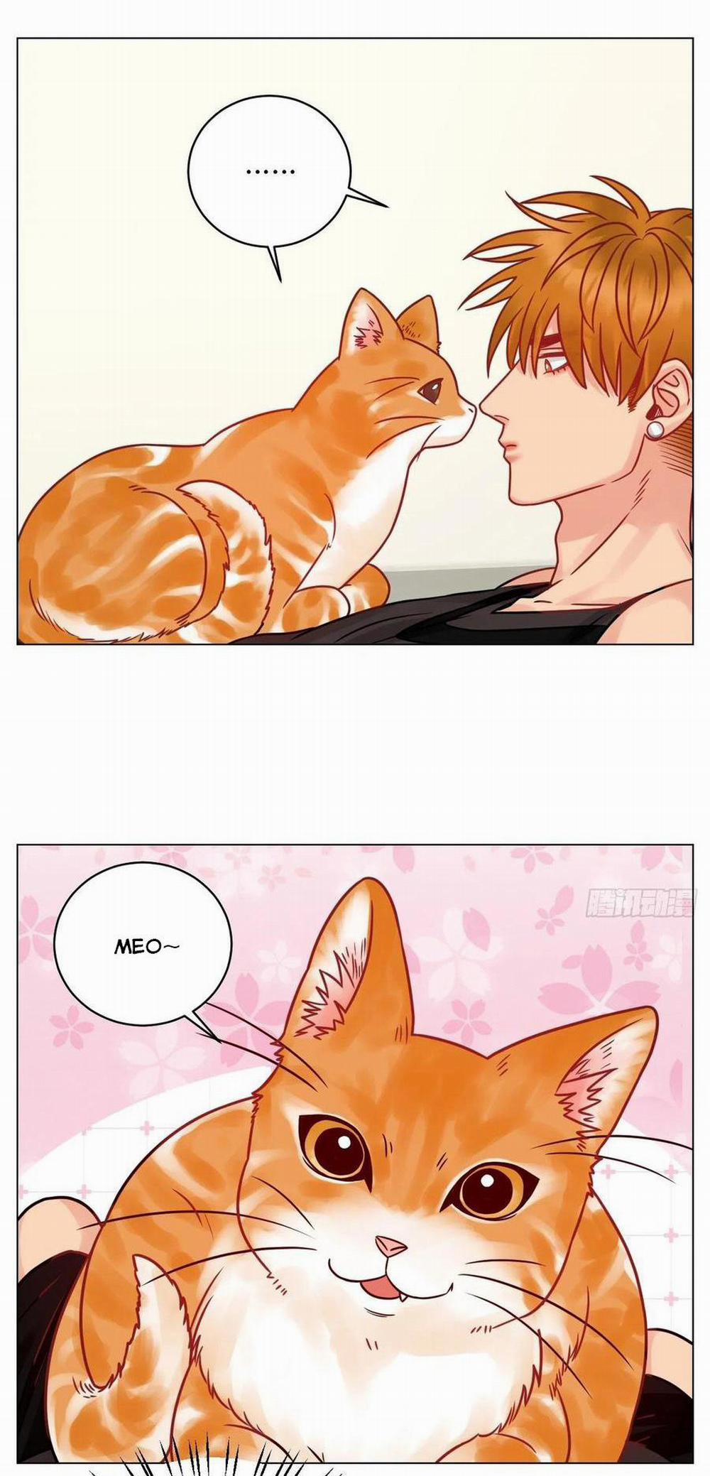 Ký túc xá nam phòng 303 189 trang 14